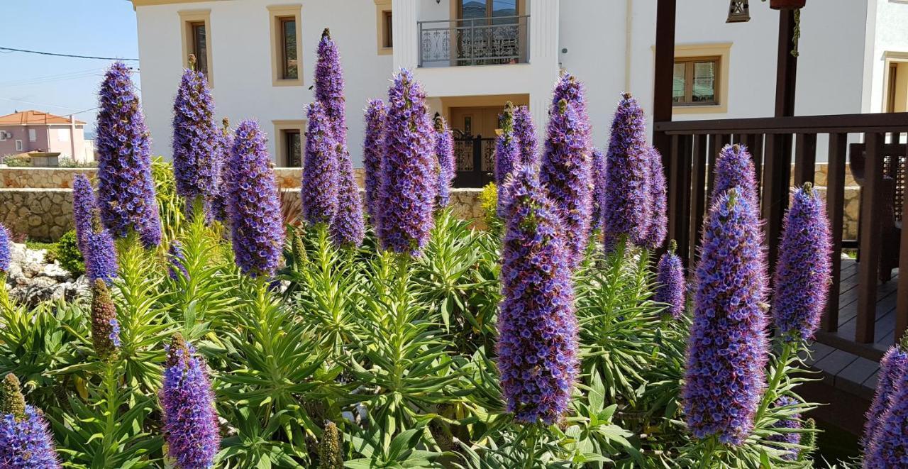 Villa Omega Kefalonia Karavádhos Dış mekan fotoğraf