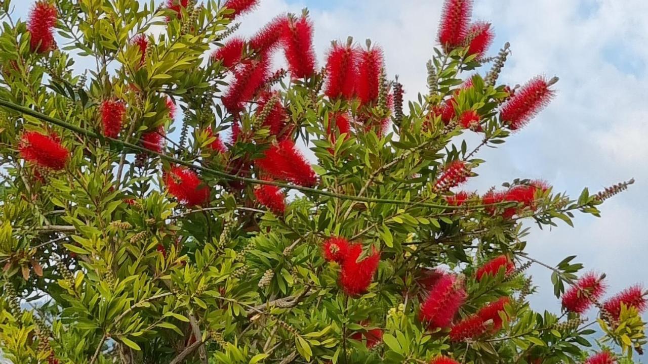 Villa Omega Kefalonia Karavádhos Dış mekan fotoğraf